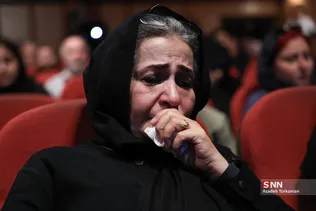 دبب