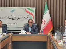 ۱۹۹ محصول دانش‌بنیان در همدان به مرحله تجاری‌سازی رسید