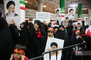 دبب