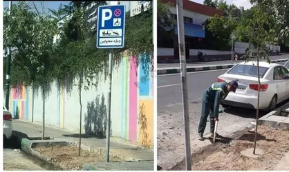 شهرداری در محل کشف پیکر بابک خرمدین &laquo;نهال حیات&raquo; کاشت