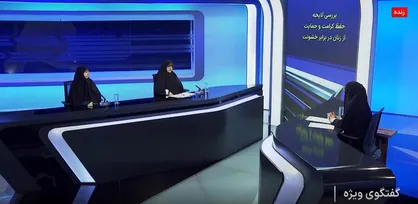 رویکرد مجلس در لایحه حفظ کرامت زنان با اصول شرعی همخوانی دارد، اما دولت درگیر اختلاف نظر است + فیلم