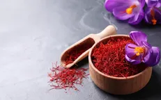 استقبال کشاورزان از معاملات زعفران بورسی