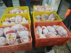 تأکید جهاد کشاورزی خرم‌آباد بر استمرار عرضه بی‌وقفه مرغ در بازار