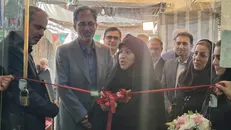 مشاغل خانگی، خانواده‌محور و نقطه اتصال اقتصاد و حراست از خانواده