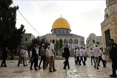 شهرک‌نشینان صهیونیست بار دیگر به «مسجدالاقصی» یورش بردند