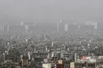 یبت