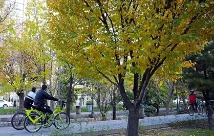 پویش &laquo;سه&zwnj;شنبه&zwnj;های بدون خودرو&raquo; برگزار شد