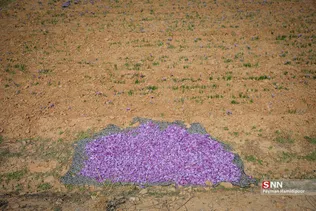 345345