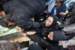 بیبب