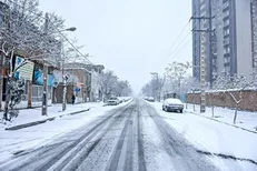 بارش سنگین برف در تهران و مواجهه مدیریت شهری با آن/ وقتی تلاش نیرو‌های خدمات شهری مانع انسداد معابر شد