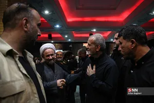 دبب