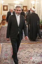 سیر
