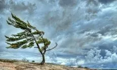 پیش‌بینی وزش باد شدید و گردوخاک در آسمان تهران/ موج بارشی در راه است