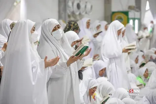 دبب