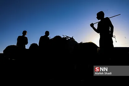 بازار فروش دام در عید قربان&lrm;