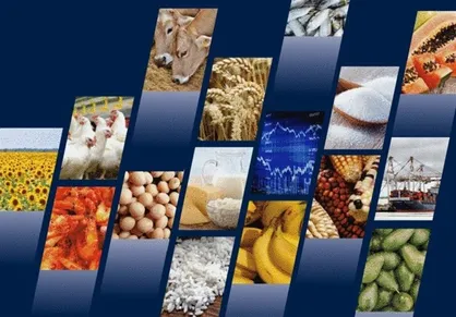 رکود در بازار کالاهای مصرفی/ خبری از افزایش مجدد قیمت ها نیست