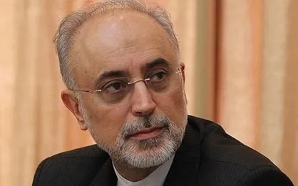 مدرن&zwnj;سازی رآکتور اراک تا ۱۴۰۰ تکمیل می&zwnj;شود/ &laquo;پلوتونیوم&raquo; خنداب مناسب بمب اتم نبود