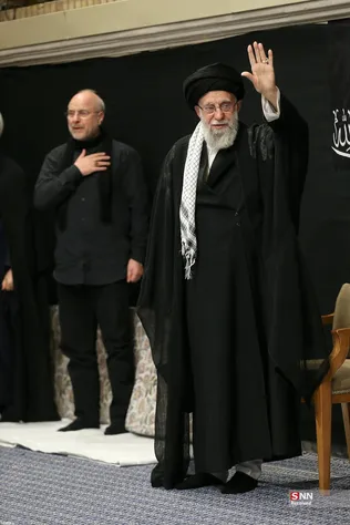دبب