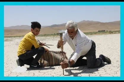 رقابت &laquo;وقتی که دارکوب&zwnj;ها می&zwnj;روند&raquo; برای کسب جایزه ۴ هزار دلاری