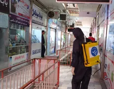 گنددزدایی شهرستان ملایر به همت دانشجویان