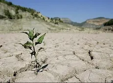 خشک ترین سال نیم قرن اخیر را تجربه می‌کنیم