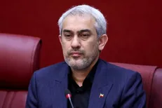 مدنی‌زاده: برخی اقدامات اقتصادی مانند استراتژی‌های نظامی نباید علنی شوند + فیلم