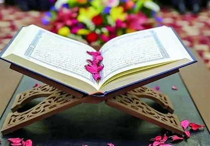 حمایت پلیس دانمارک از فرد اهانت&zwnj;کننده به قرآن کریم + فیلم
