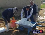 فعالیت جهادگران دانشگاه آزاد خوزستان در مناطق سیل زده