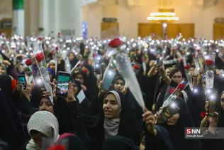 دبب
