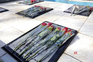 دانشگاه