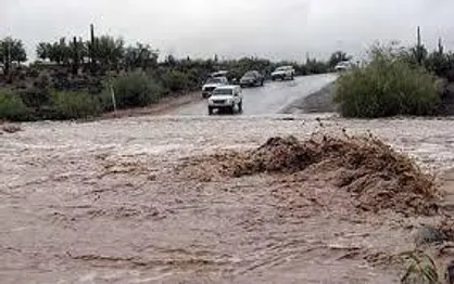 سیل موجب انسداد ١٠ راه روستایی در شهرستان بم شد