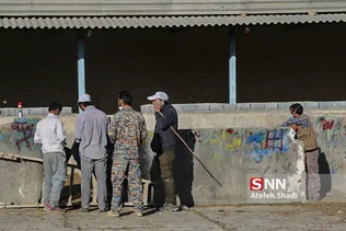 بازار دام