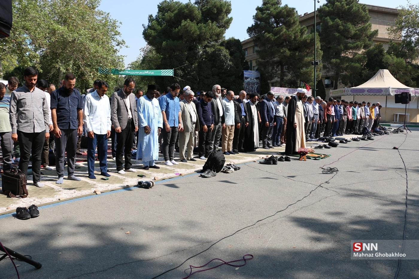 دانشگاه تهران