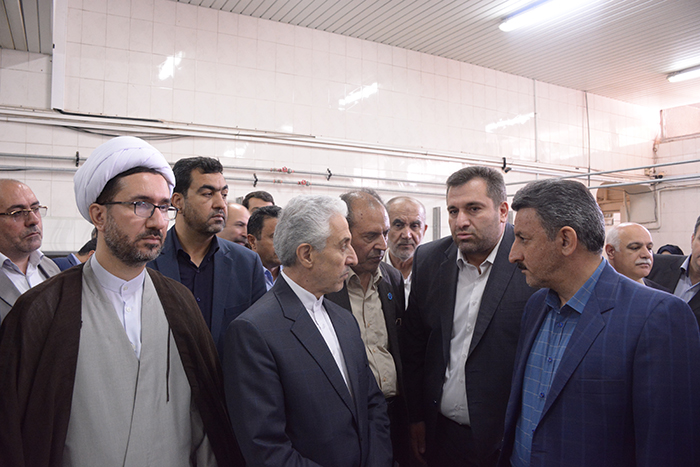 دانشگاه تبریز