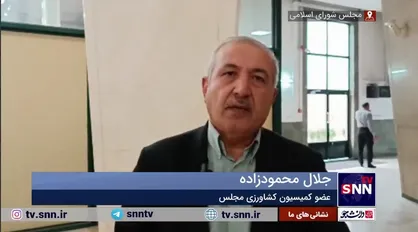 محمودزاده: مقداری از محموله گندم آلوده وارد چرخه مصرف شد / وزارت بهداشت قضیه را پیگیری نکرد