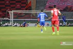 دبب