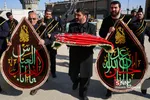 شیرخوارگان