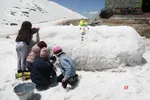 دبب