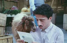 شغل های باور نکردی سلبریتی‌ها قبل از شهرت