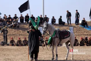 نوش اباد