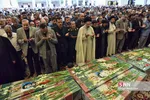 بیبب