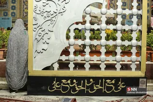دبب