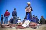 مسابقات سوارکاری 