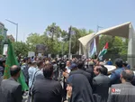تجمع