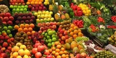 قیمت انواع میوه و سبزیجات در ۲۵۳ میدان میوه و تره بار یکسان است