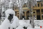 روز برفی دانشگاه