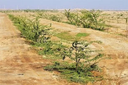 سرانجام طرح کمربند سبز اهواز چه شد؟