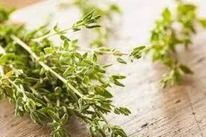 زخمپوش نوین آنتی باکتریال با گیاه آویشن ساخته شد