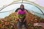 گلخانه