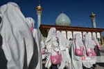 زیسرب